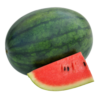 Julie Watermelon From  Known You Seed (India)-KYI
